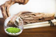 Eco Moss Air Fresheners