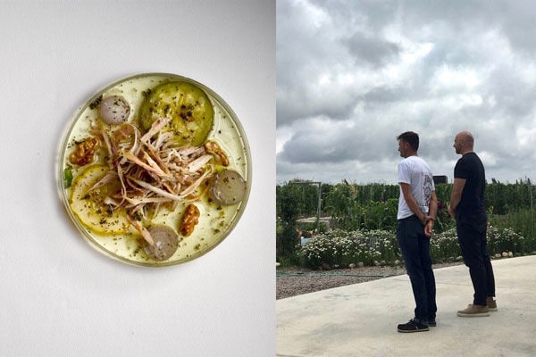 Foraged Food Pop-Ups