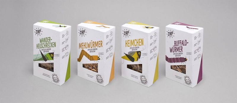 Illustrated Insect Snack Packaging
