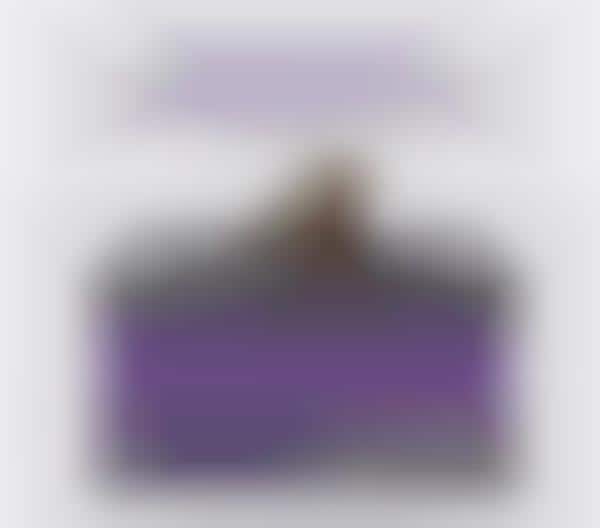 Antimicrobial Pet Mattresses