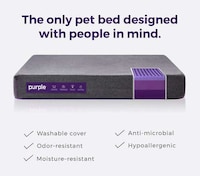 Antimicrobial Pet Mattresses Image 2