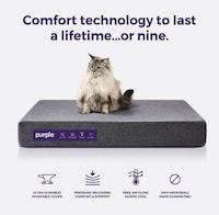 Antimicrobial Pet Mattresses Image 3