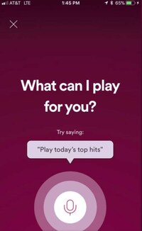Music-Streaming Voice Assistants Image 2