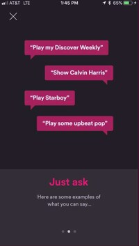 Music-Streaming Voice Assistants Image 3