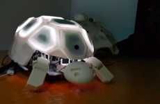 Anti-Abuse Tortoise Robots