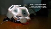 Anti-Abuse Tortoise Robots Image 2