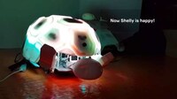 Anti-Abuse Tortoise Robots Image 4