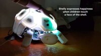 Anti-Abuse Tortoise Robots Image 5