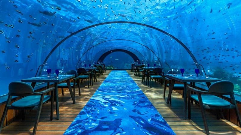 Aquatic Pop-Up Yoga Events