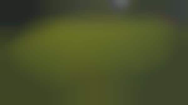 Expansive Social Sports Accounts