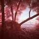 Impressively Realistic Dioramas Image 3