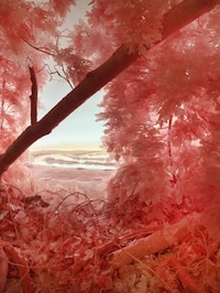 Impressively Realistic Dioramas Image 5