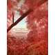 Impressively Realistic Dioramas Image 5