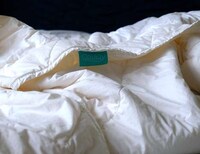 All-Season Moisture-Wicking Duvets Image 8