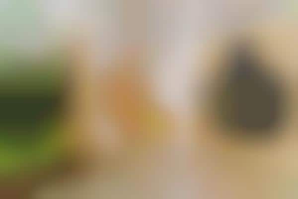 Personal Fragrance Pop-Ups