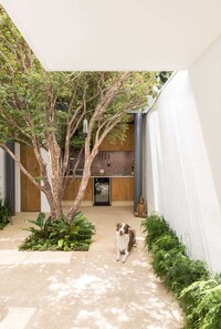 Contemporary Slender Houses Image 7