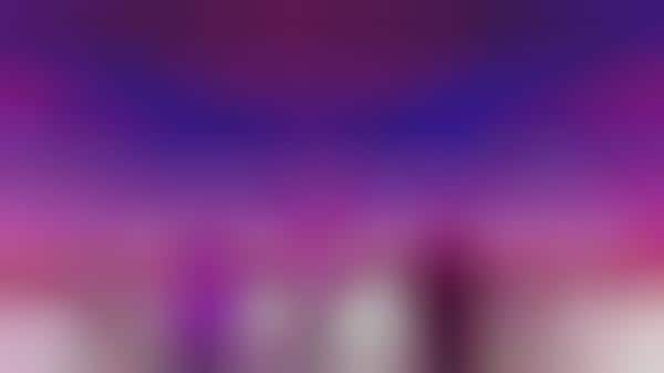 Nightclub Culture Exhibitions