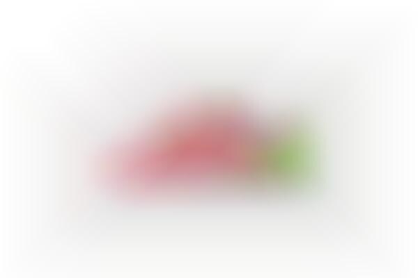 watermelon converse toddler