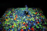 Digital Underwater Exhibitions Image 2