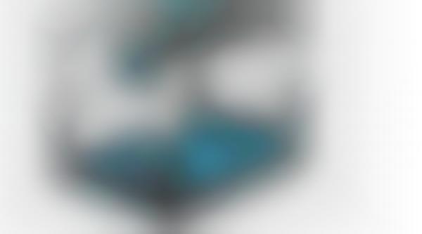 collapsible dog crate