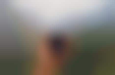 Stylish Sleek Key Holders - The ShieldX Offers a Safe and Functional Way to Hold and Carry Keys