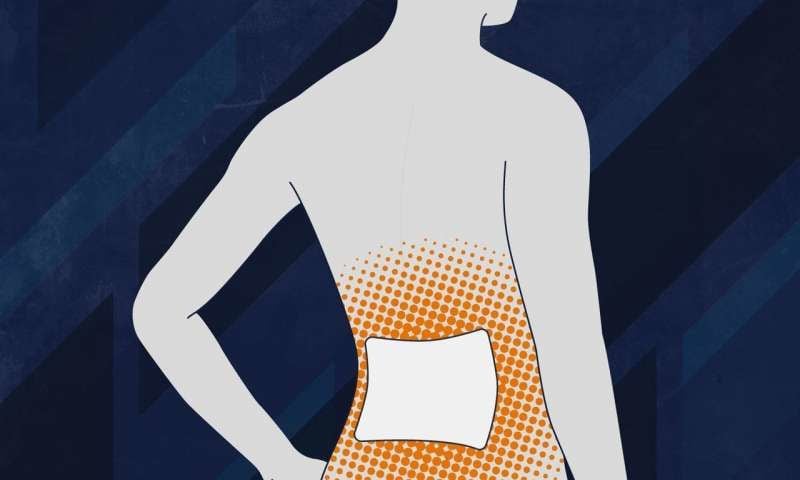 Chronic Pain Patches