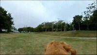 Stabilized 360-Degree Cameras Image 7
