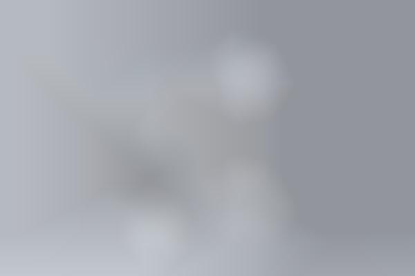 Ready-to-Use Speaker Packages
