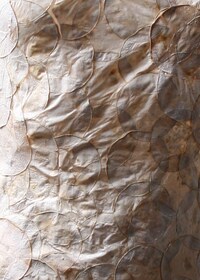 Vegetation-Based Textile Experiments Image 3