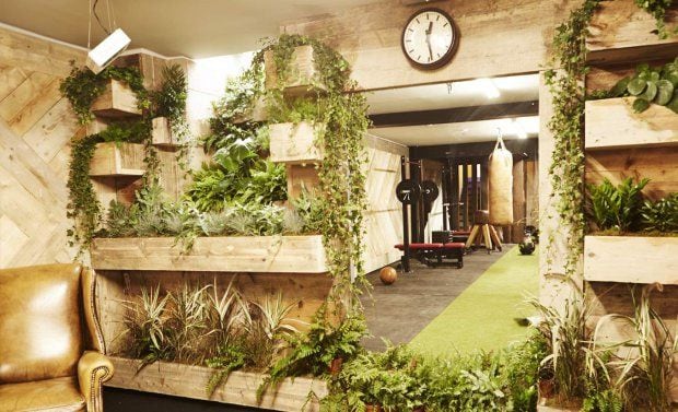 Eco Human-Powered Gyms