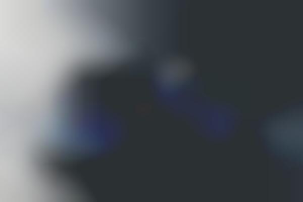 Changing Mobility Forever