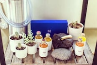 CBD-Infused Elixirs Image 5