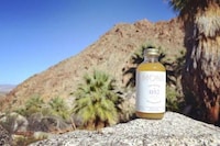 CBD-Infused Elixirs Image 7