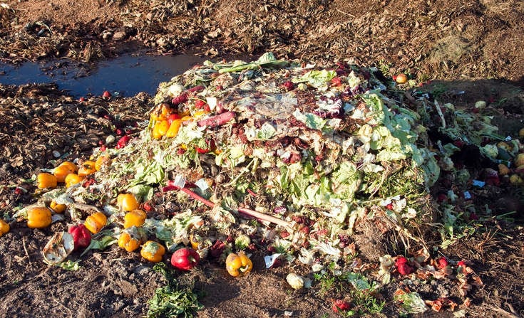 Blockchain Food Waste Solutions