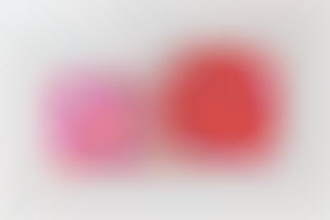 Modernized Food Delivery Packaging - Roll Club's Contemporary Packaging Helps it Stand Out