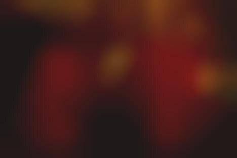 Luxury Cognac Dining Experiences