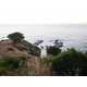 Cliffside Chilean Houses Image 4