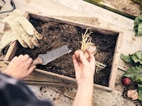 Japanese-Inspired Gardening Tools Image 2