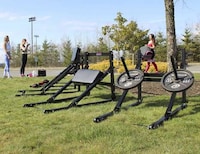 Total Body Workout Benches Image 4