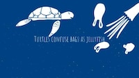 Incentivized Reusable Bags Image 7