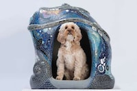 Extravagant Dog Kennel Exhibitions Image 8