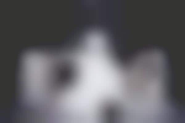 Free-for-Use Photo Studios