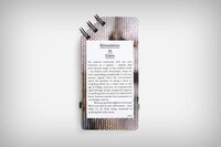 Smartphone-Sized Detox Books Image 5