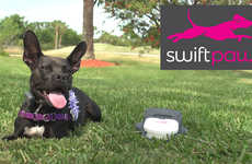 Brain-Stimulating Dog Games