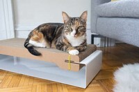 Design-Centric Cat Scratchers Image 2