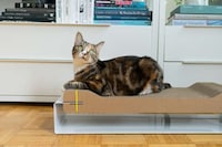 Design-Centric Cat Scratchers Image 3