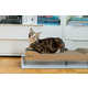 Design-Centric Cat Scratchers Image 3