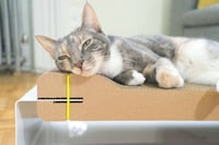 Design-Centric Cat Scratchers Image 4