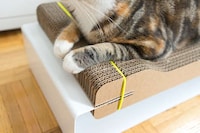 Design-Centric Cat Scratchers Image 5