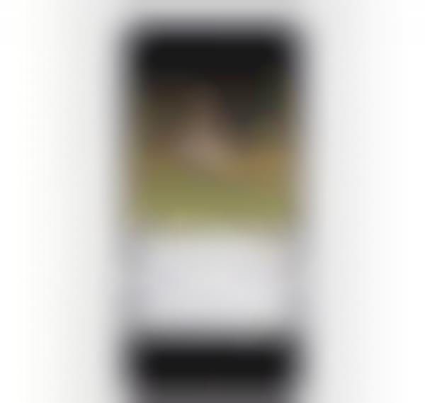 Pet-Analyzing Apps